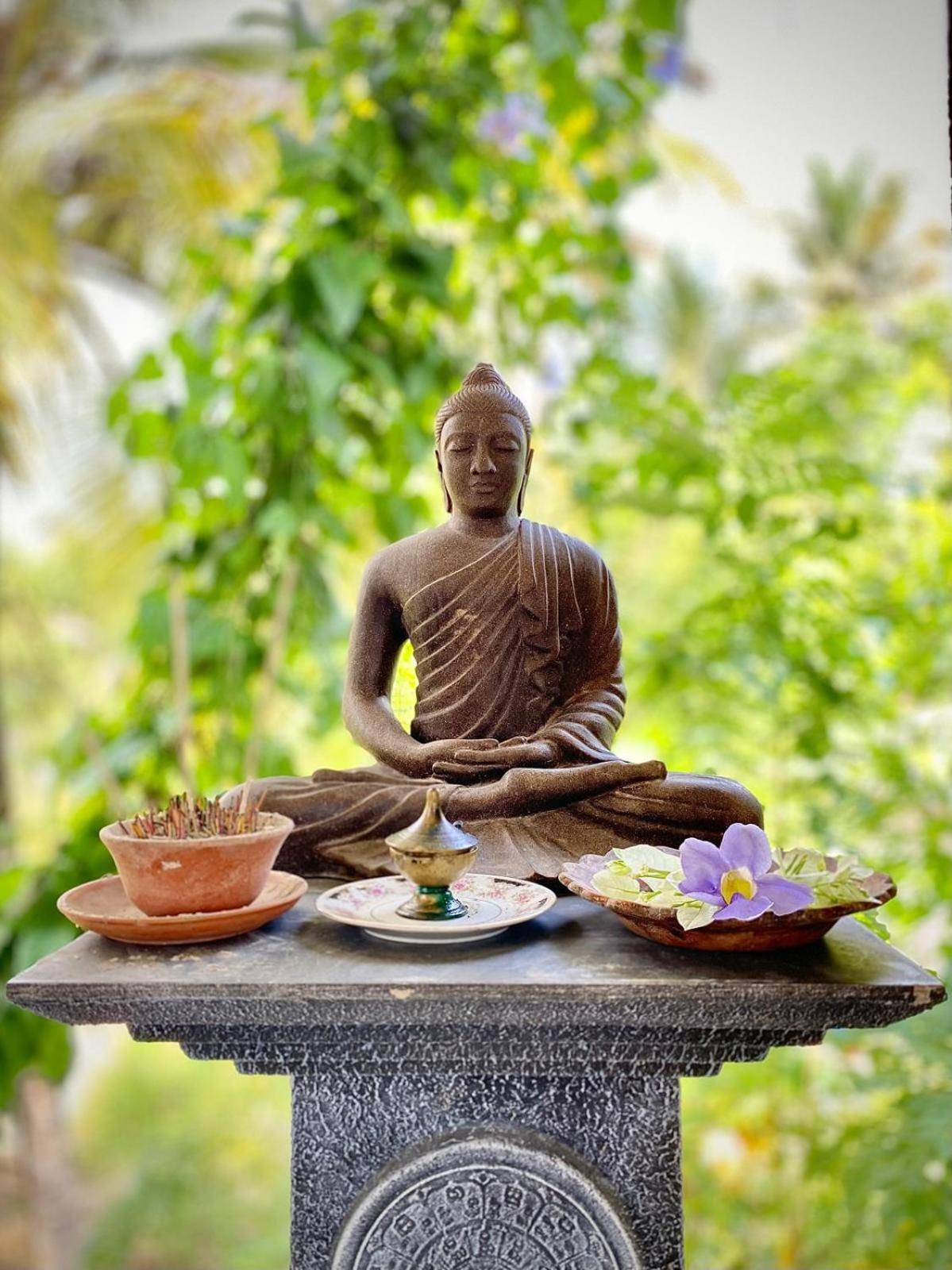 Lotus Surf House Hotel มิดิกามาอีสต์ ภายนอก รูปภาพ